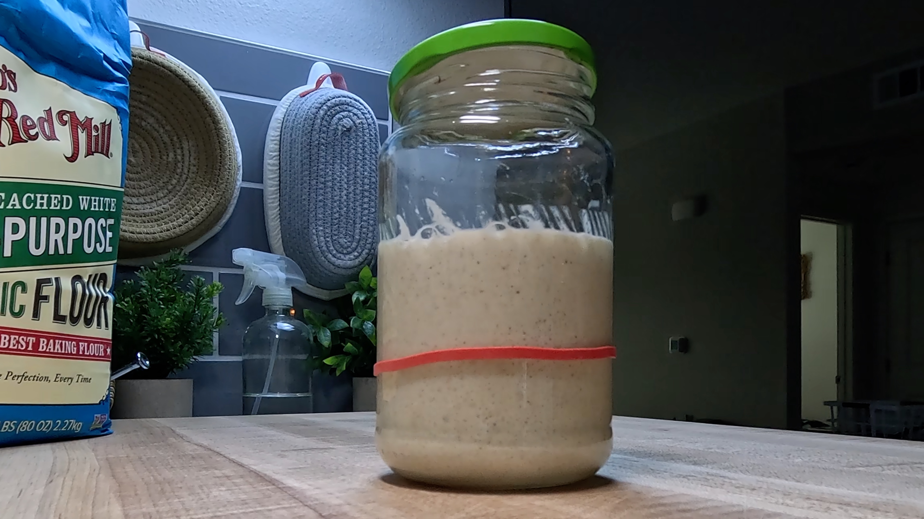 Sourdough Starter Gone Wrong? 5 Signs & How to Fix Them