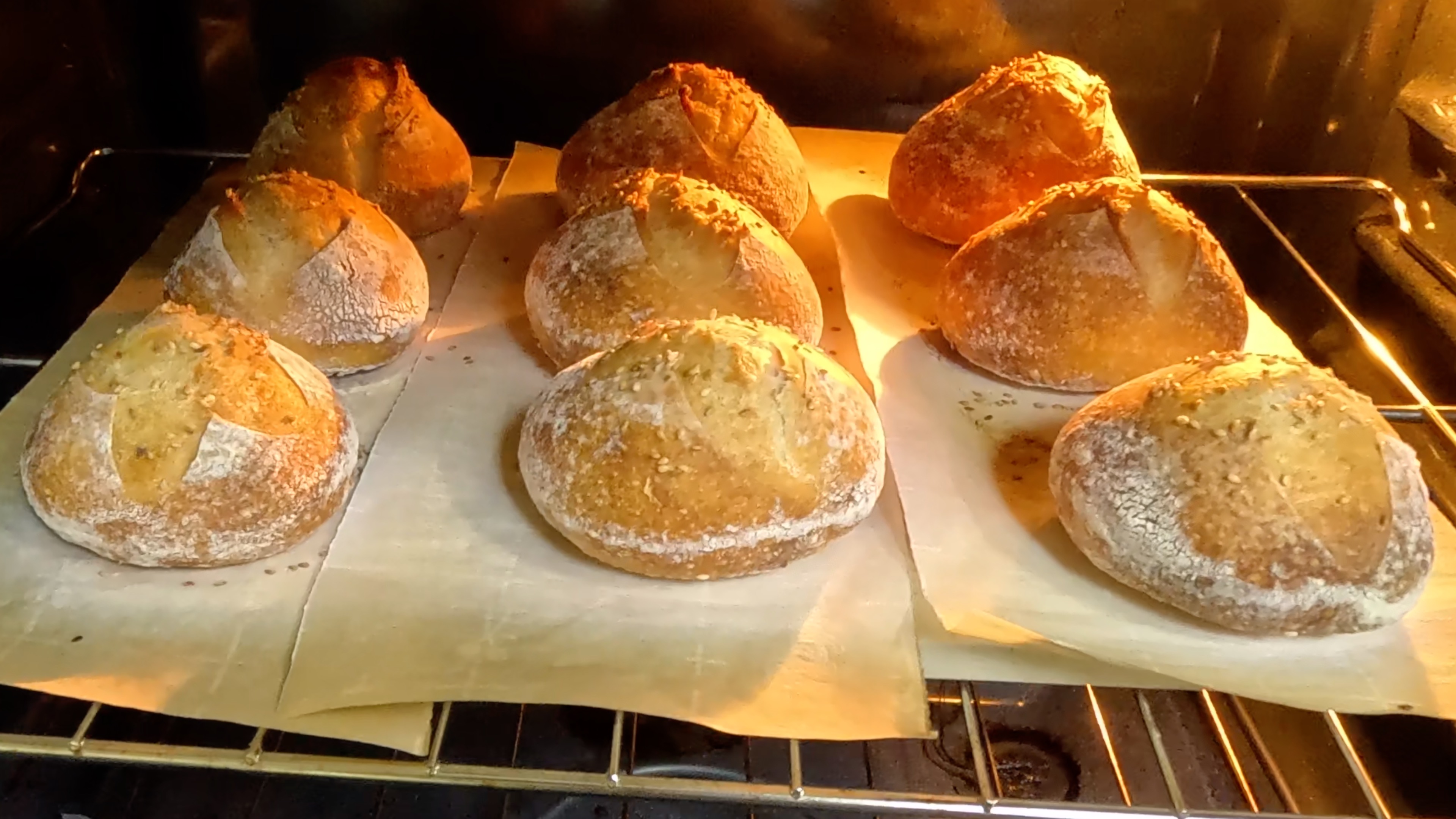 No-Knead Sourdough Dinner Rolls | Beginner Friendly