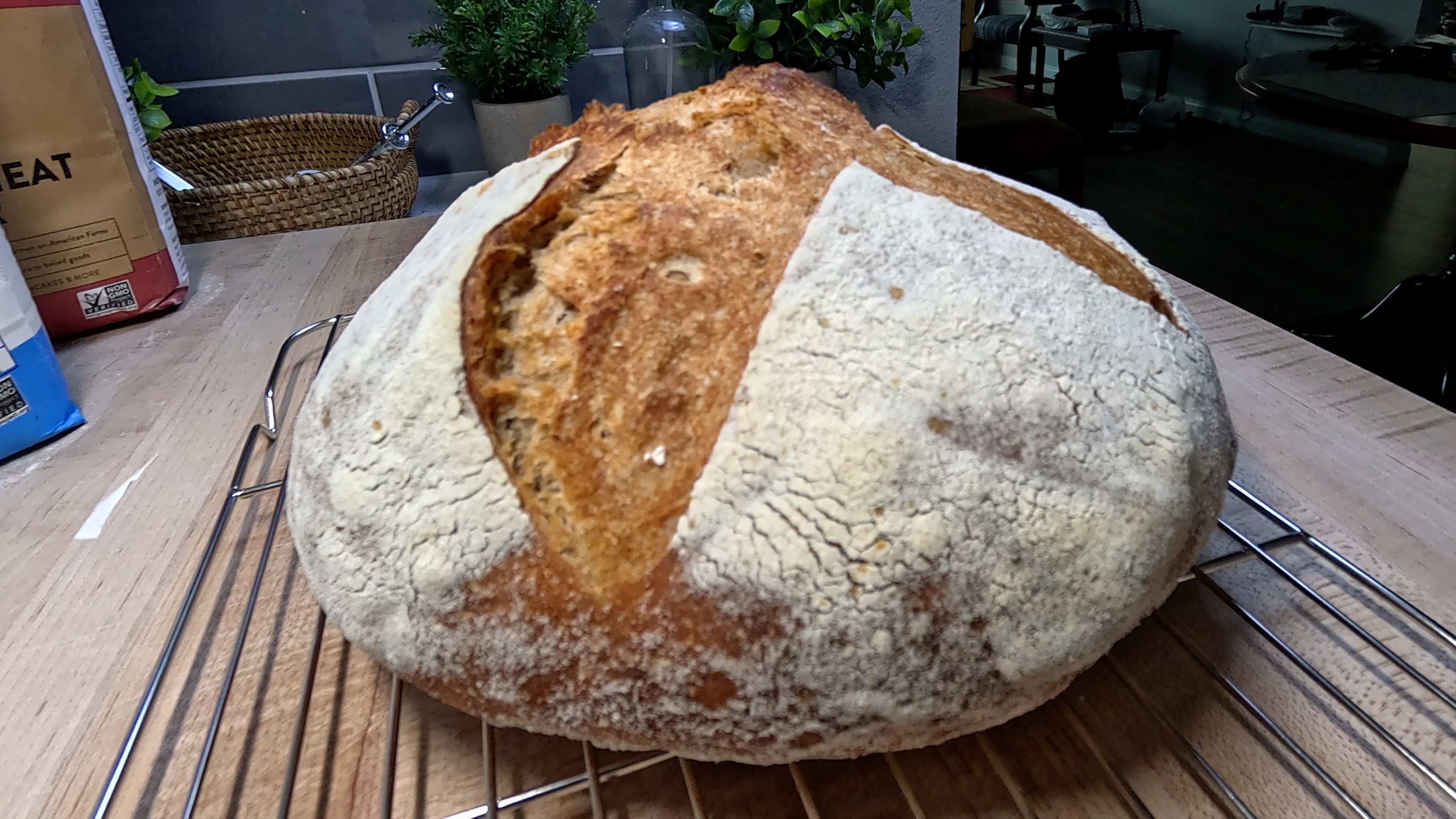 Mixed Grain Sourdough Boule - Whole Wheat & Bread Flour